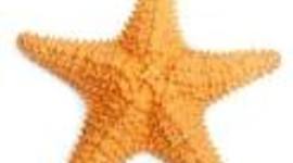 Timeline: jacob american revolution