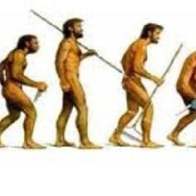 Timeline: Historia de la Administracion