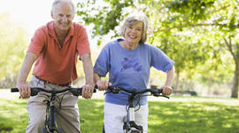 Timeline: Bienestar y calidad