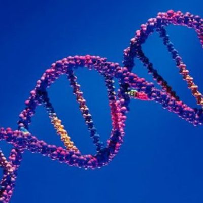 Timeline: Cronograma sobre los principales descubrimientos del DNA