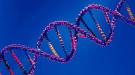 Timeline: Cronograma sobre los principales descubrimientos del DNA