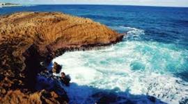 Timeline: Yo hago un viaje a Puerto Rico