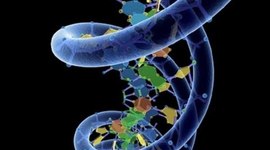 Timeline: Biologia Celular