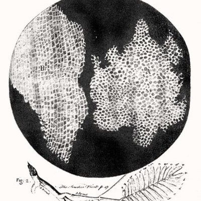 Timeline: Hitos tecnologicos