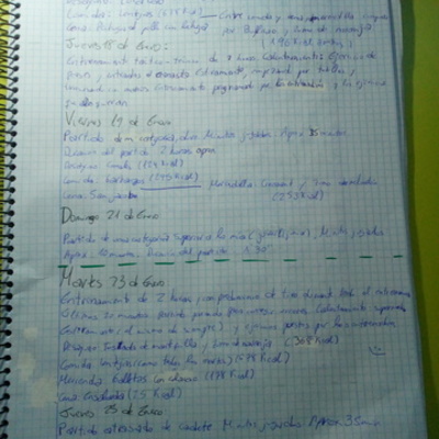 Timeline: Registro trimestral desde el 16 de Enero al 13 de Marzo