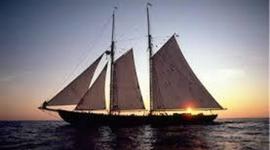 Timeline: Evolución del transporte