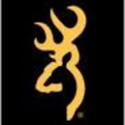 Timeline: LeeAnn Idealistic Timeline