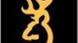 Timeline: LeeAnn Idealistic Timeline