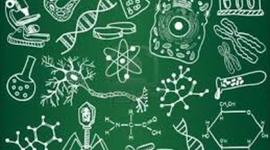 Timeline: Biologia 2