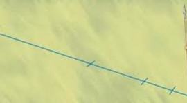 Timeline: Actividad, Linea del Tiempo