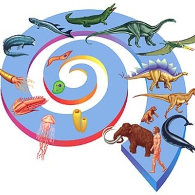 Timeline: La teoria dell'evoluzione