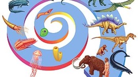 Timeline: La teoria dell'evoluzione