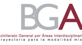 Timeline: RESPONSABILIDAD DEL ASESOR DE BGAI