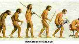 Timeline: El hombre a través de la historia