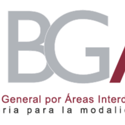 Timeline: Oranizador Gráfico, Responsabilidades del Asesor BGAI