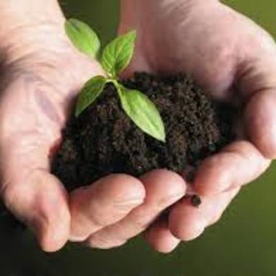 Timeline: HISTORIA DE LA ECOLOGÍA