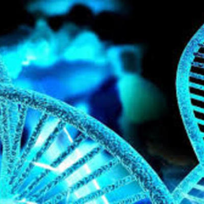 Timeline: biologia II