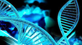 Timeline: biologia II