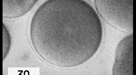 Timeline: La célula: Teoría celular