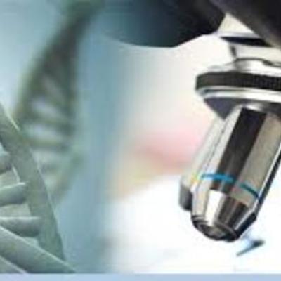 Timeline: BIOLOGIA II