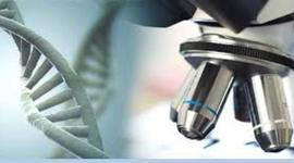 Timeline: BIOLOGIA II