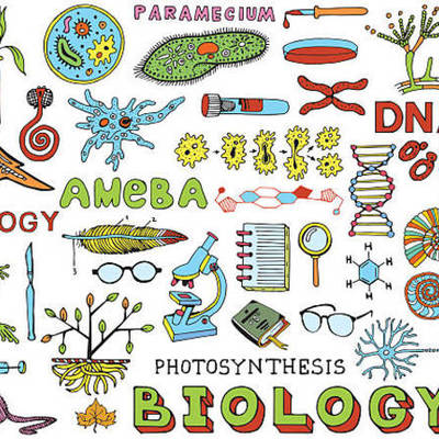 Timeline: biologia II