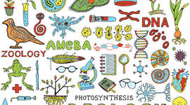 Timeline: biologia II