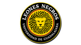 Timeline: Responsabilidades de los Asesores de BGAI