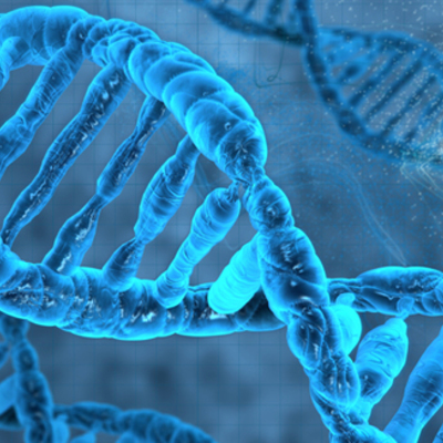 Timeline: Biología ll