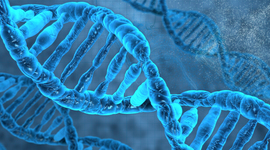 Timeline: Biología ll