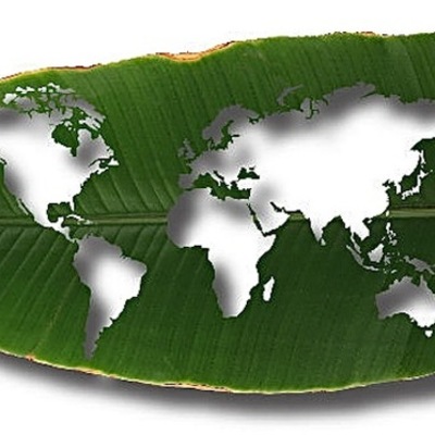 Timeline: Acuerdos Climáticos Globales