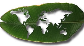 Timeline: Acuerdos Climáticos Globales