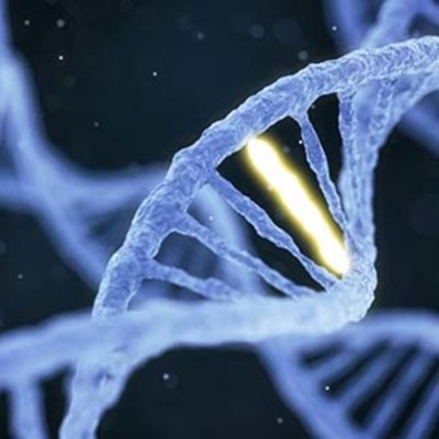 Timeline: Genetics Throughout History