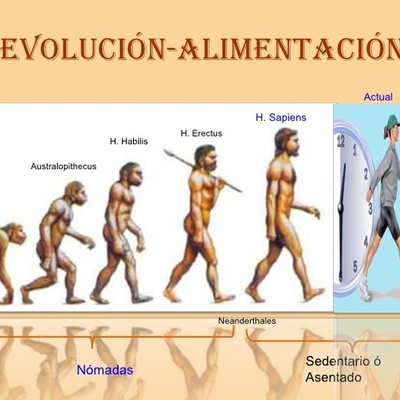 Timeline: EL HOMBRE A TRAVÉS DE LA HISTORIA