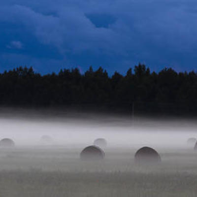 Timeline: Eesti ajalugu