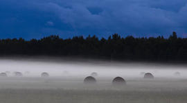 Timeline: Eesti ajalugu