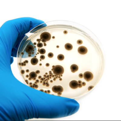 Timeline: Humans and The Microbial World