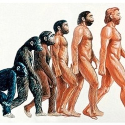 Timeline: ANÁLISIS CRONOLÓGICO (LÍNEA DEL TIEMPO) DE  LA APARICIÓN DEL MÉTODO CIENTÍFICO EN EL PROCESO DE INVESTIGACIÓN