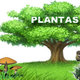 Plantas