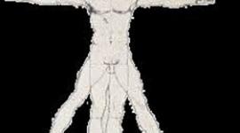 Timeline: EL HOMBRE A TRAVÉS DEL TIEMPO