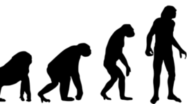 Timeline: El hombre a través de la Historia