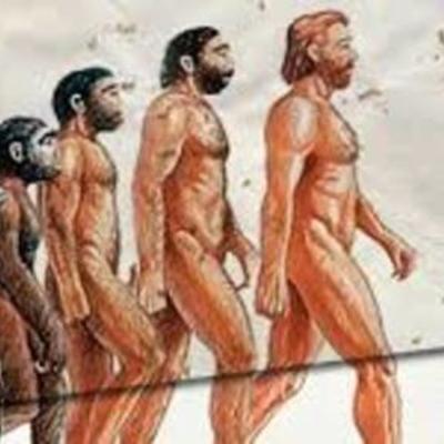 Timeline: HISTORIA DEL HOMBRE