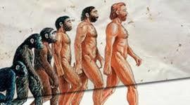 Timeline: HISTORIA DEL HOMBRE