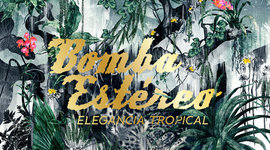 Timeline: Bomba Estereo