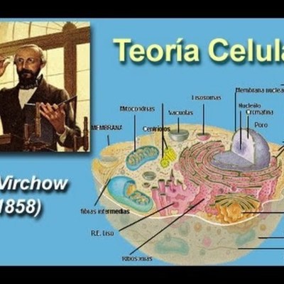 Timeline: Línea del tiempo Teoría Celular