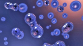 Timeline: ACONTECIMIENTOS MAS IMPORTANTES EN LA HISTORIA DE LA QUIMICA