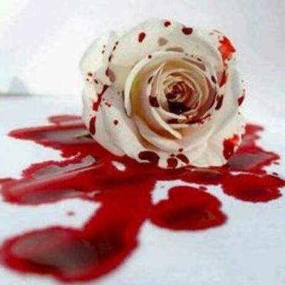 Timeline: A Rose for Emily