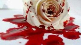 Timeline: A Rose for Emily