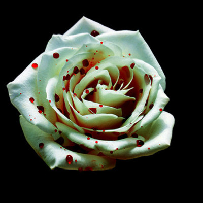 Timeline: A Rose for Emily