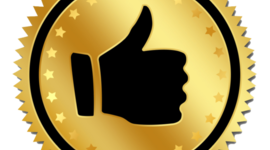 Timeline: Evolución de la calidad